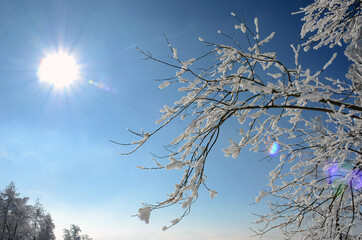Winterwonderland auf dem Grünberg (Gmunden, Salzkammergut, Oberösterreich, Österreich) - Winter...