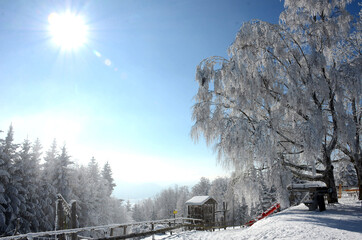 Winterwonderland auf dem Grünberg (Gmunden, Salzkammergut, Oberösterreich, Österreich) - Winter...