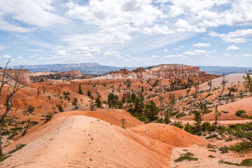 Red Rocks Hoodoos in Bryce Point at Bryce Canyon National Park, Utah