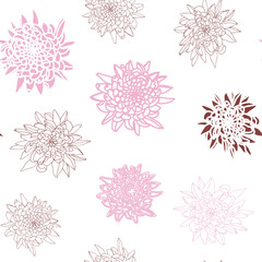 Vector seamless floral pattern with chrysanthemums. Hand drawn flowers background.