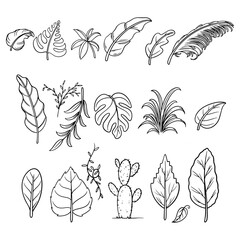 Hand drawn leaves of tropical plants. Collection of botanical leaf with different models isolated on white background. Template design for wedding, envelope, valentine, for party, holiday decor.