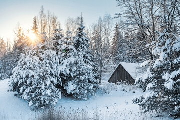 Fototapety na wymiar - Fototapeta24.pl