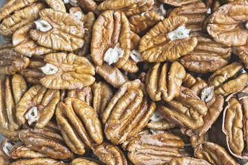 Pecan Nuts