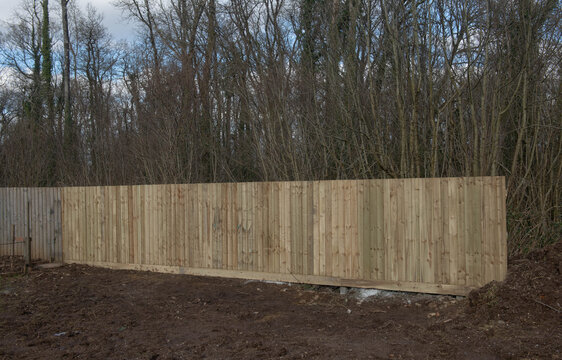 Newly Built Feather Edge Wooden Fence with a Woodland Landscape Background in Rural Devon, England, UK