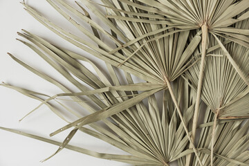 Dry tropical exotic palm leaves on white background. Flat lay, top view minimalist floral pattern...