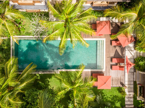 Aerial view of a rectangular swimming pool in a luxury resort with tropical palm trees, Ubud, Bali, Indonesia.