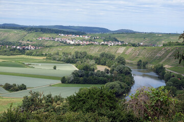 Fototapeta na wymiar Blick von den Hessigheimer Felsengärten zum Neckar