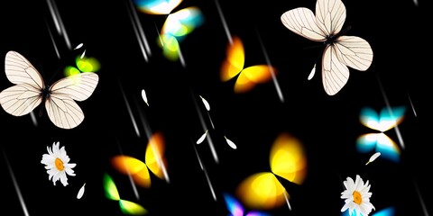 Beautiful butterflies  and black background 