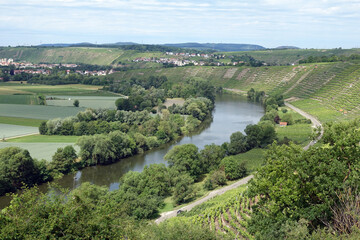 Fototapeta na wymiar Blick von den Hessigheimer Felsengärten zum Neckar