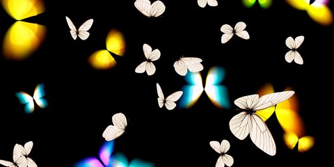 Beautiful butterflies and black background 