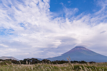 雪のない時期の富士山