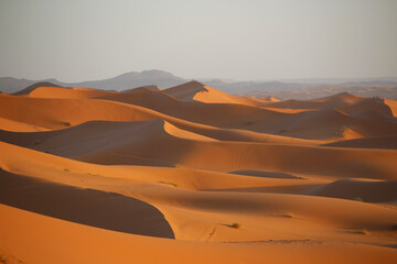 Fototapeta na wymiar Sand dunes in the desert, Merzouga 