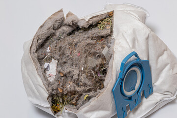 a fully filled, cut open vacuum cleaner bag with its contents