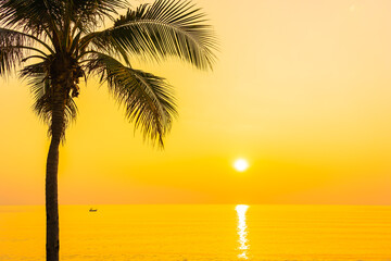 Fototapeta na wymiar Coconut palm tree around sea beach ocean at sunset or sunrise