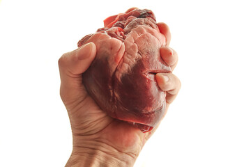 Heart in male hand