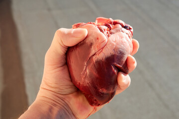  Heart in male hand