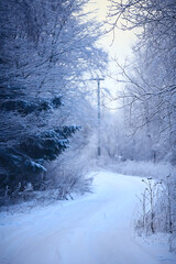 winter road abstract landscape, seasonal path december snow