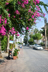 Beautiful streets in Marmaris. Turkey