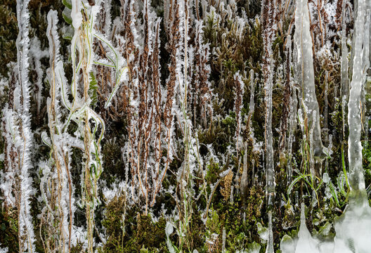 Winterzauber: Eine Zauberwelt aus Eisfiguren und Schneekristallen. Die Augen von Kindern wie Erwachsenen leuchten beim Anblick dieser frostigen, verg&auml;nglichen Fantasiefiguren der kalten Jahreszeit.