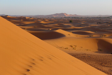 Fototapeta na wymiar sand dunes, Erg Chebbi, Morroco 