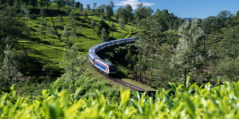 Famous train ride in Ella, Sri Lanka
