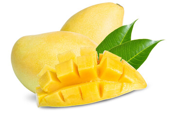 clipping path yellow mango isolated on white background