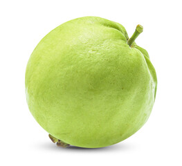fresh Guava fruit isolated on white background