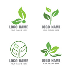 Leaf icon Vector Illustration design Logo template