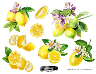 Lemons big set composition watercolor illustration isolated on white background