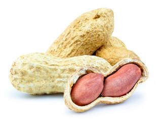 Peanuts isolated on white background