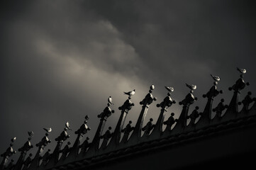 Fototapeta na wymiar Venice, Italy. Venetian pattern. Sea gulls sitting on Ca' d'Oro (Palazzo Santa Sofia). Dramatic light. Black white historic photo.