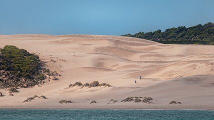 Bolonia Dunes. Dunas de Bolonia. Cádiz. Spain.
