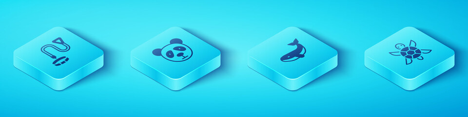 Set Isometric Collar with name tag, Cute panda face, Turtle and Whale icon. Vector. © Vadim
