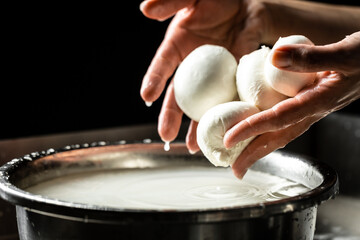 A woman working in a small family creamery is processing the final steps of making a cheese....