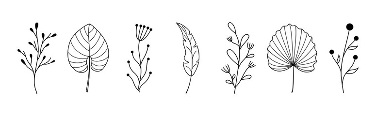 Botanical tropical leaf set. Abstract leaves collection, creative floral art. Vector minimalist illustration