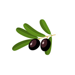 Branch with black olives. Vector illustration of cartoon flat icon isolated on white background.