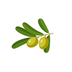 Branch with green olives. Vector illustration of cartoon flat icon isolated on white background.