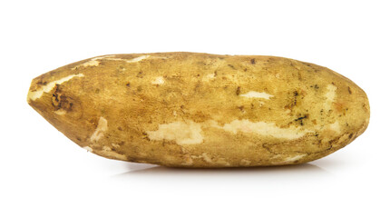 Smallanthus sonchifolius (yacon) ,snow lotus isolated on white background