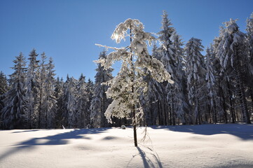 Ernstthal am Rennsteig im Winter