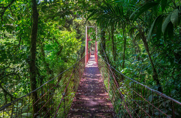 Fototapeta na wymiar A red suspension bridge in Santa Elena Cloud Forest Reserve, in Monteverde Costa Rica, Rainforest park in the mountains. Central America.