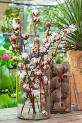 A branch of cotton with ripe bolls in a glass vase, skeins of cotton thread. Natural fabric production