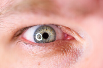 human blue eye, macro photo