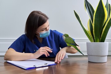 Doctor woman veterinarian examining a green Quaker parrot