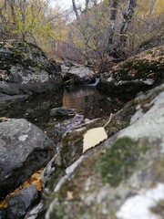 Naklejka na ściany i meble Mountain Creek. Mountain stream in autumn.