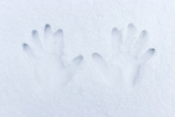 Man's handprints in the snow in winter.