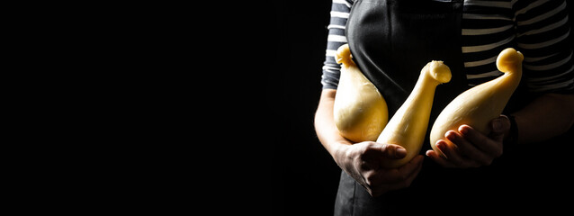 Obraz premium Cheese maker holding Italian hard cheese silano or caciocavallo. The homemade cheese maker produces handmade Scamorza cheese, Pasta Filata. Long banner format