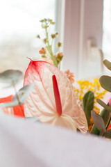 bouquet of spring flowers for Easter