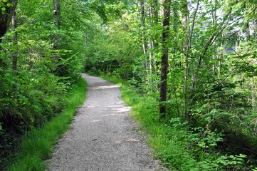 Ramsau im Berchtesgadener Land