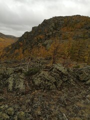 Mountain gorge in autumn. Rocks, mountains, orange trees.