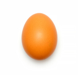 fresh chicken egg